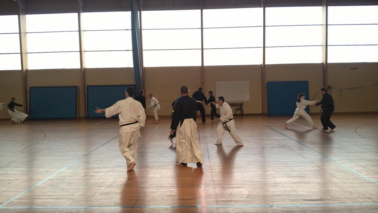 Karaté do shotokai 1 Valence (9)