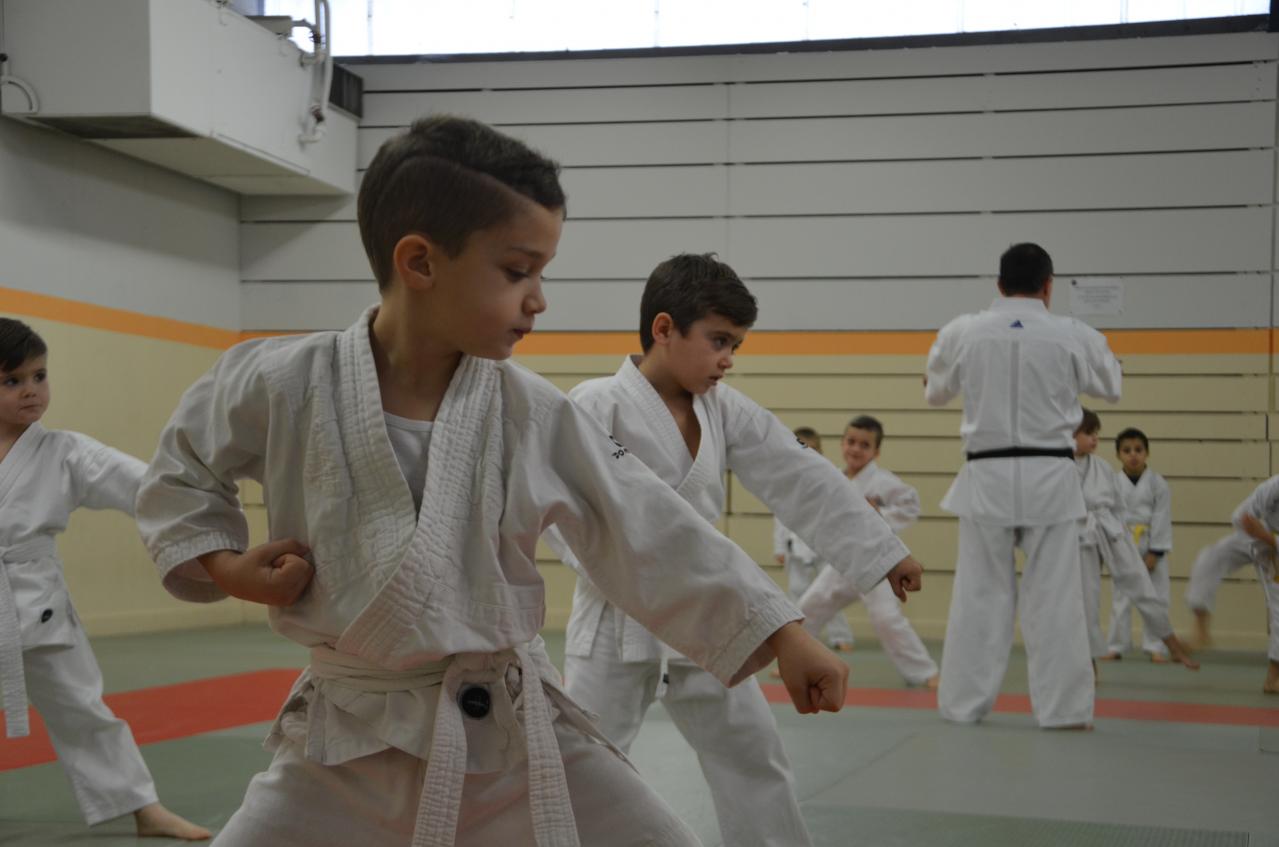 karate valence (1)