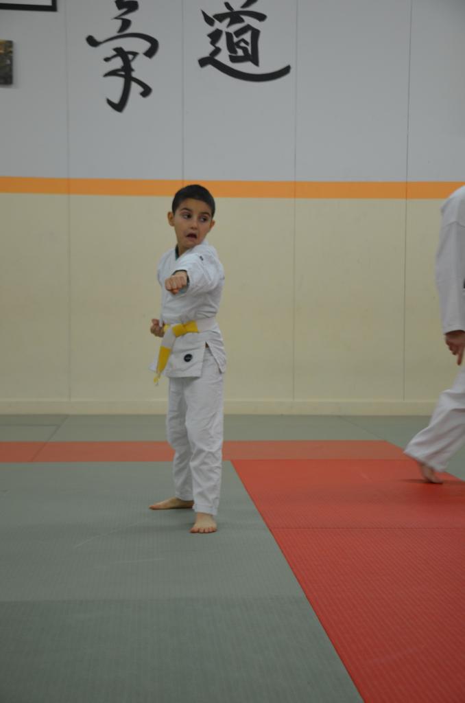 karate valence (10)