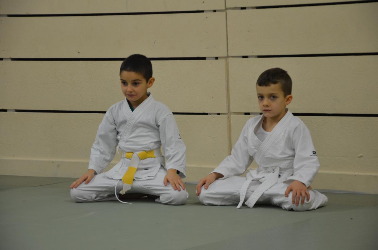 karate valence (13)