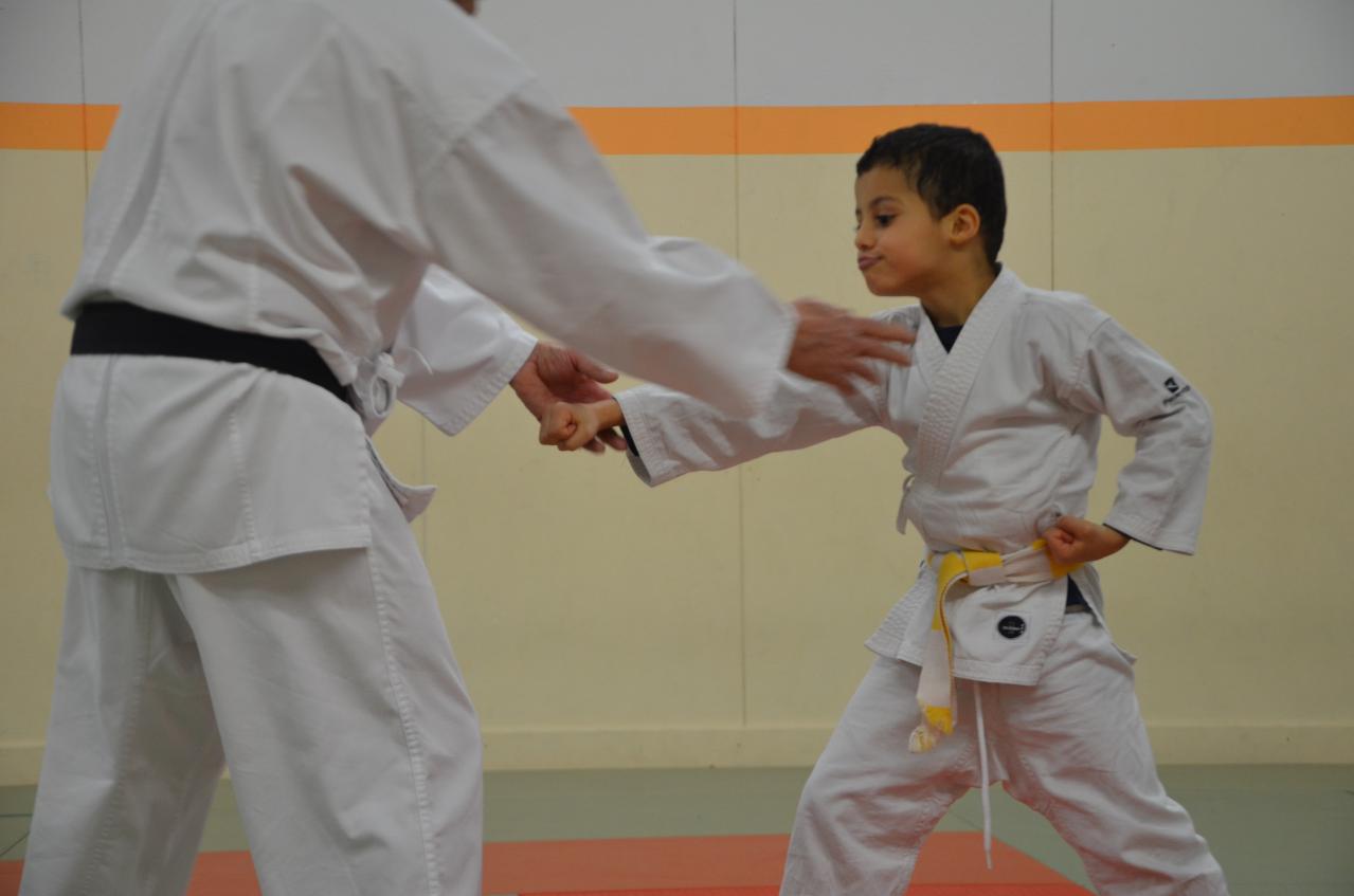 karate valence (14)