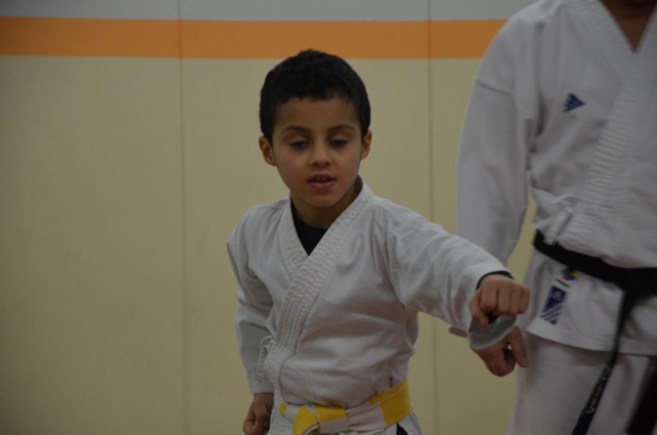 karate valence (15)