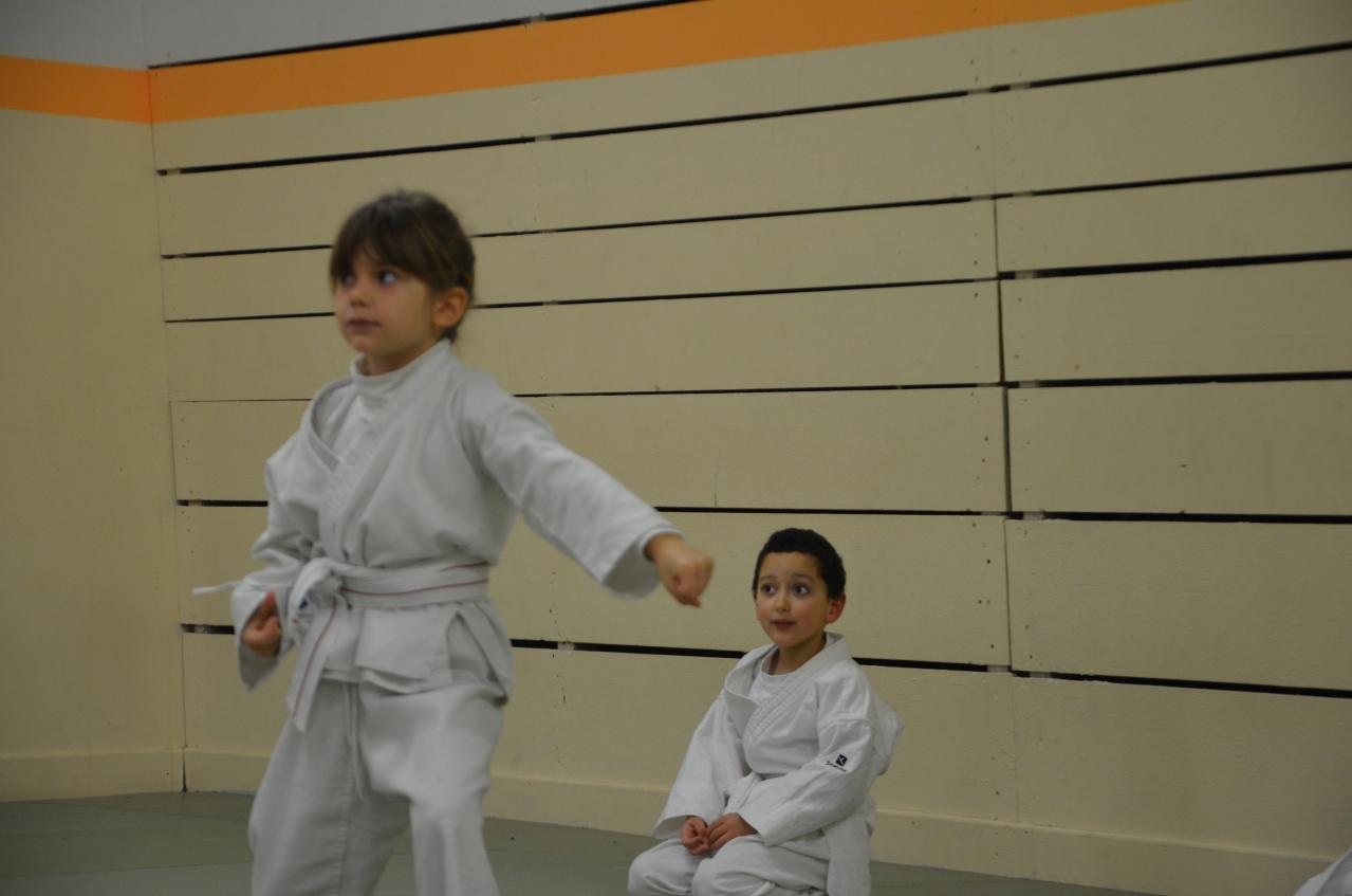 karate valence (16)