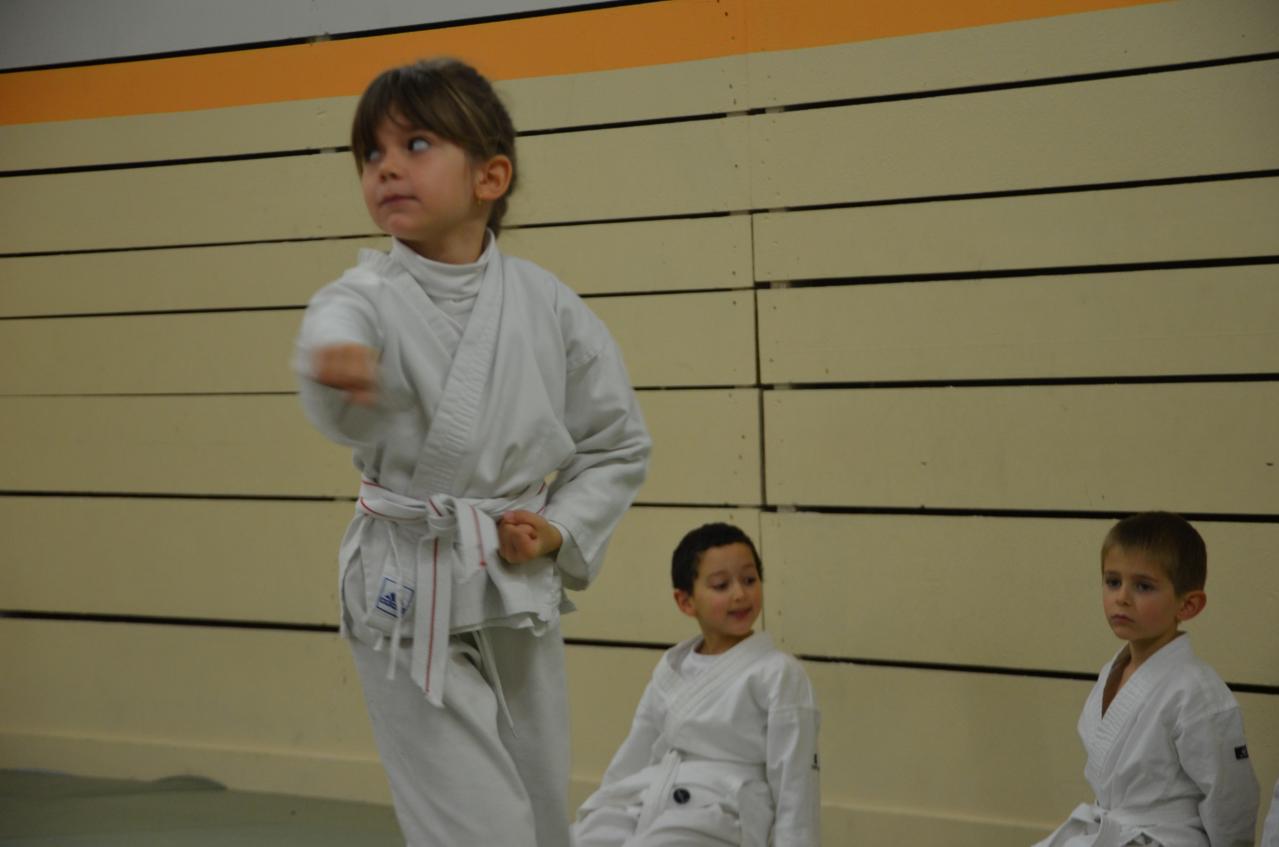 karate valence (17)