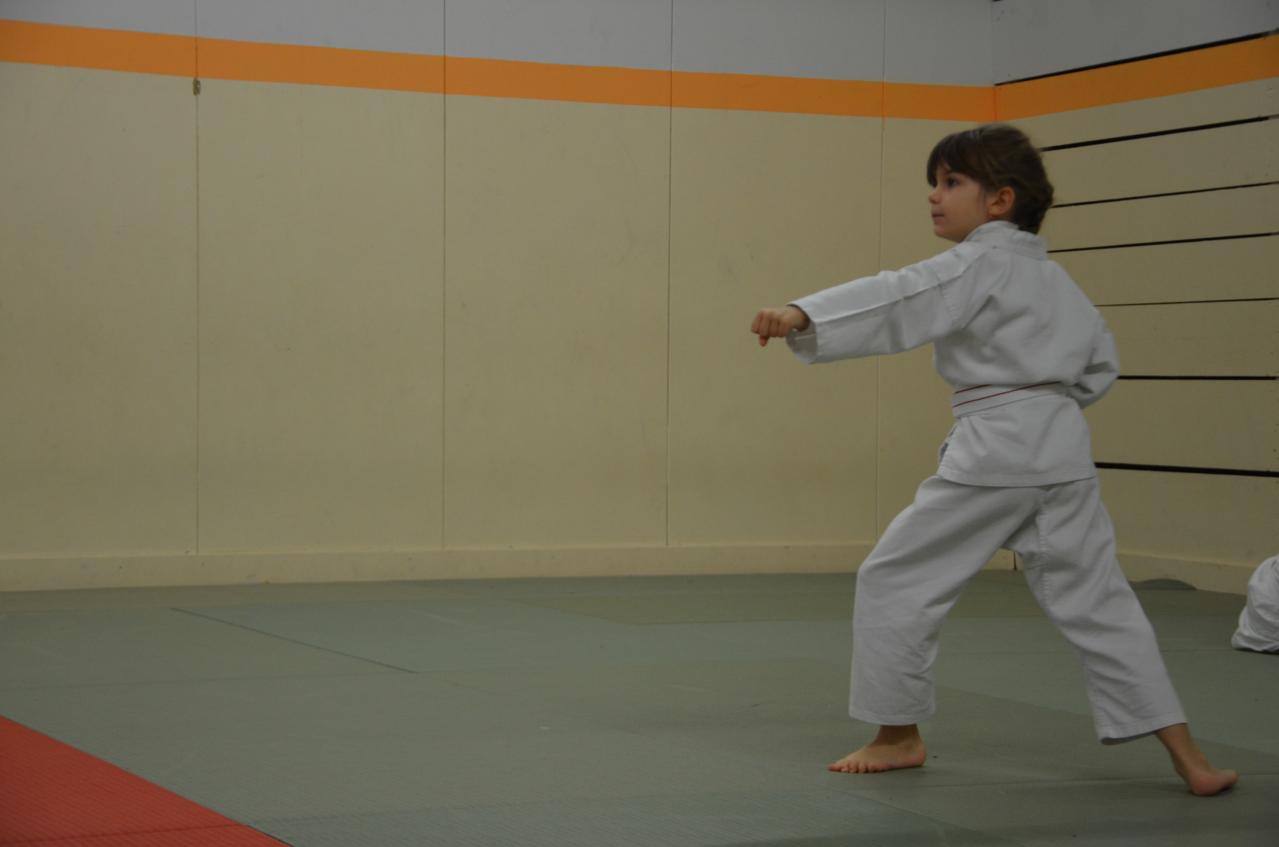 karate valence (18)