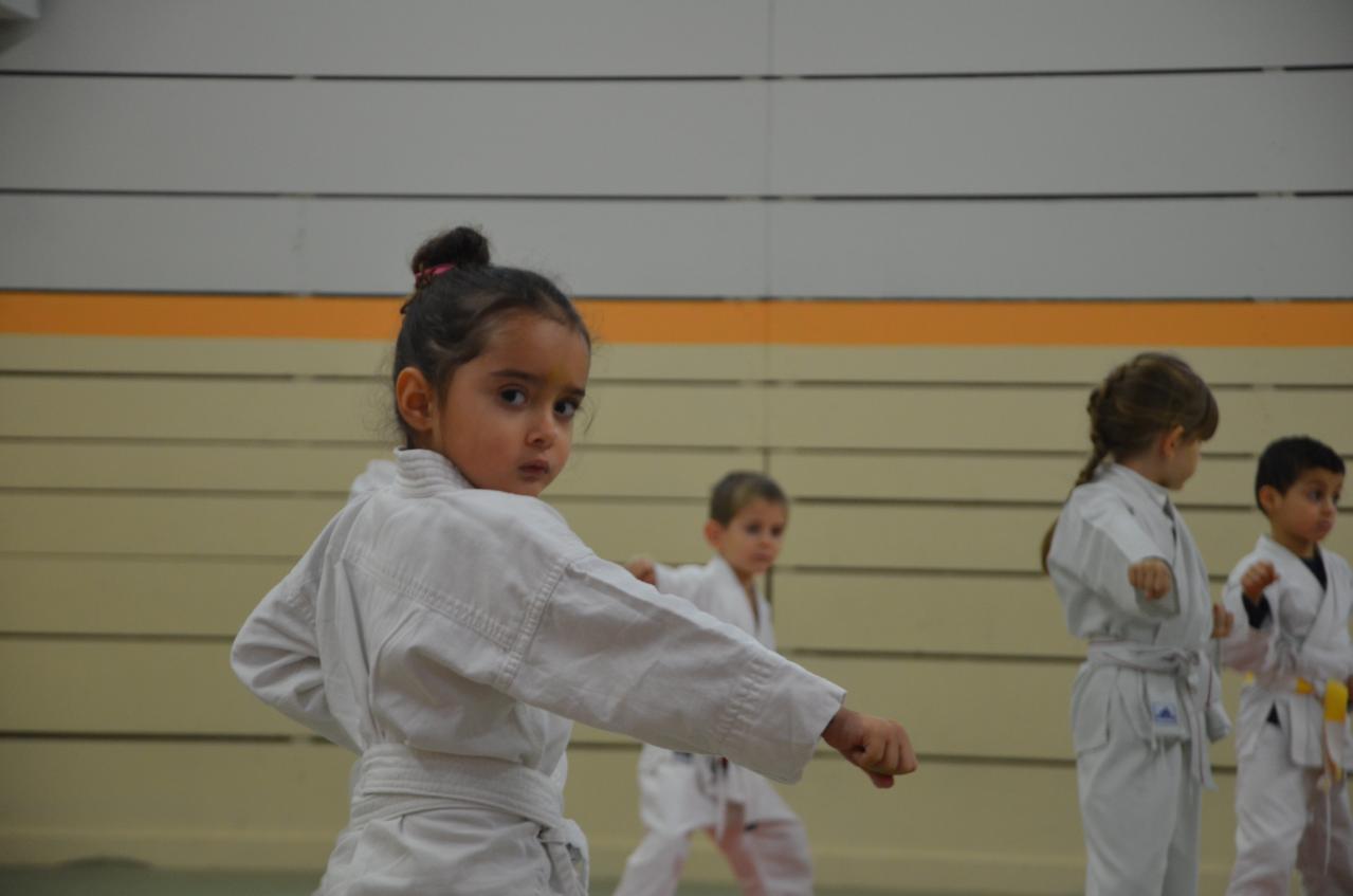 karate valence (2)