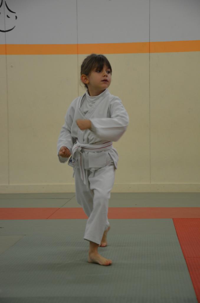 karate valence (20)