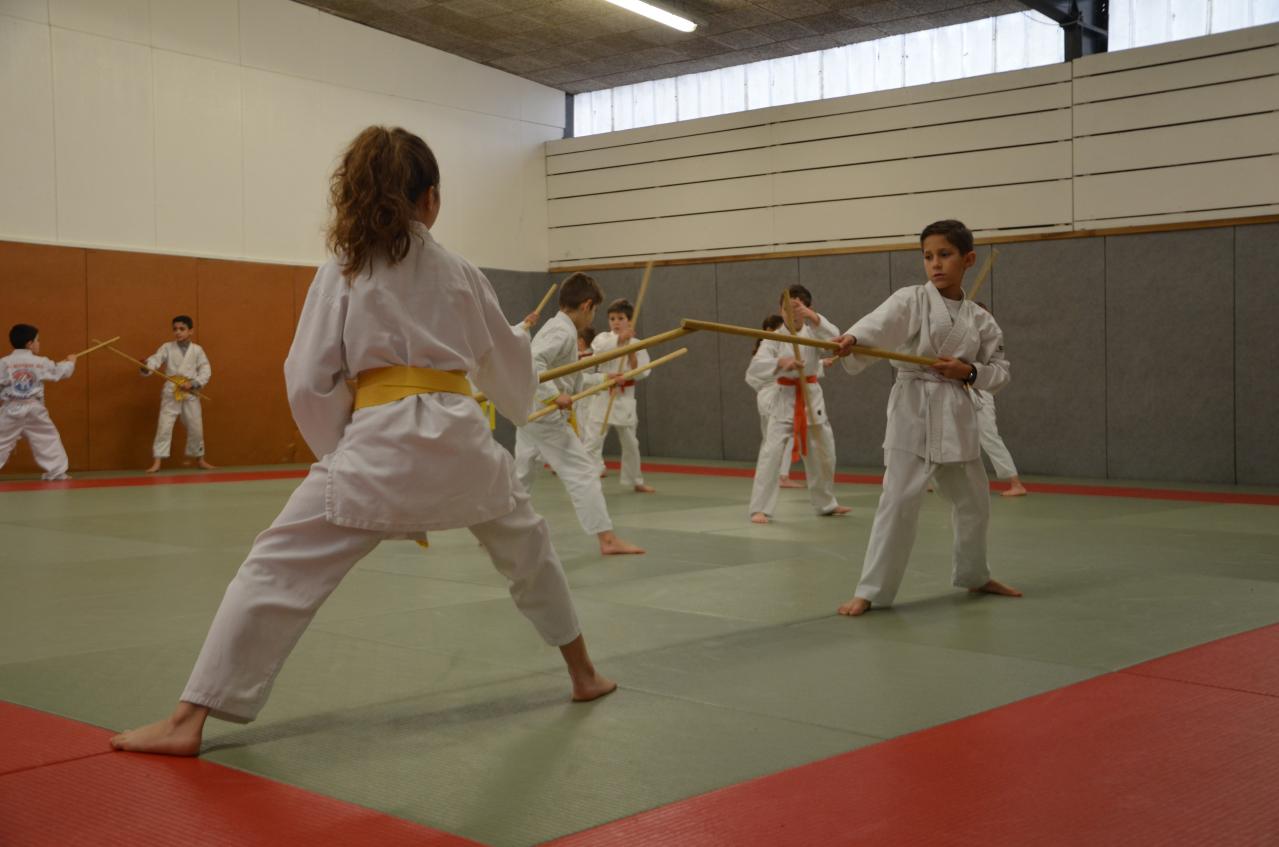 karate valence (23)