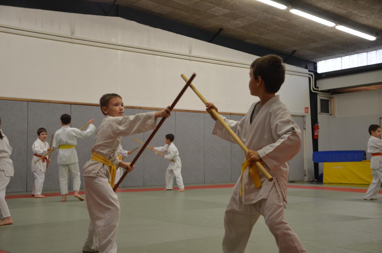 karate valence (26)