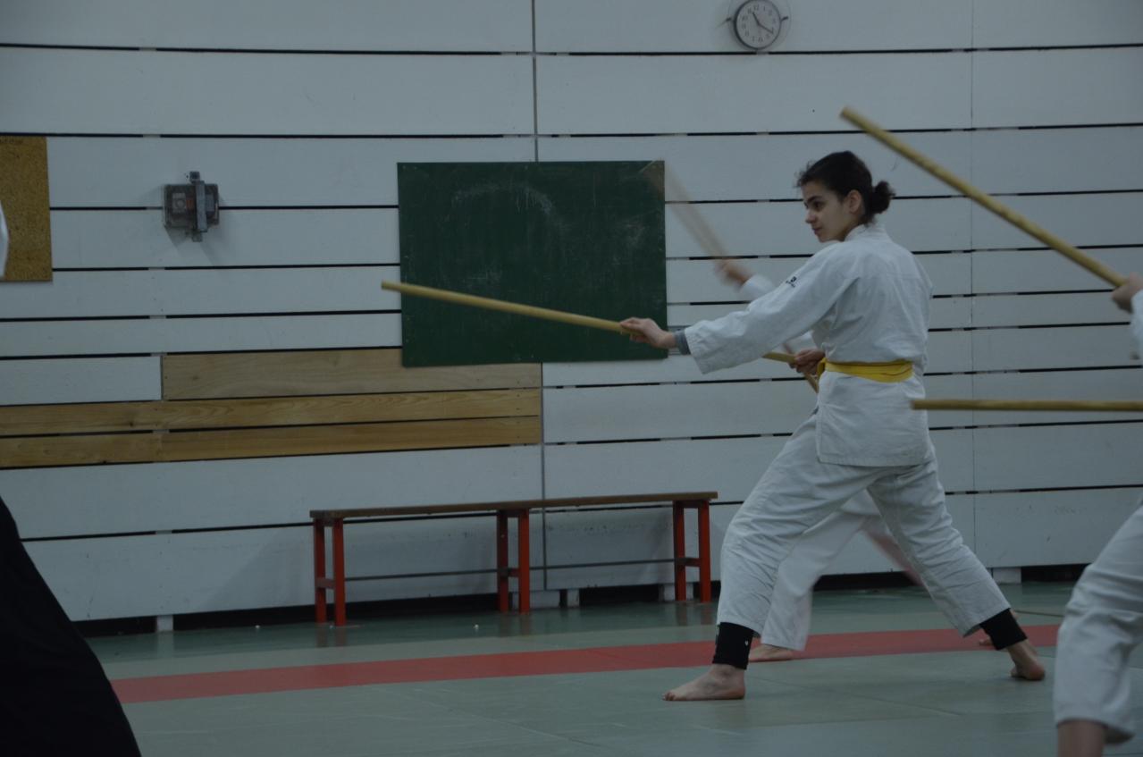 karate valence (28)