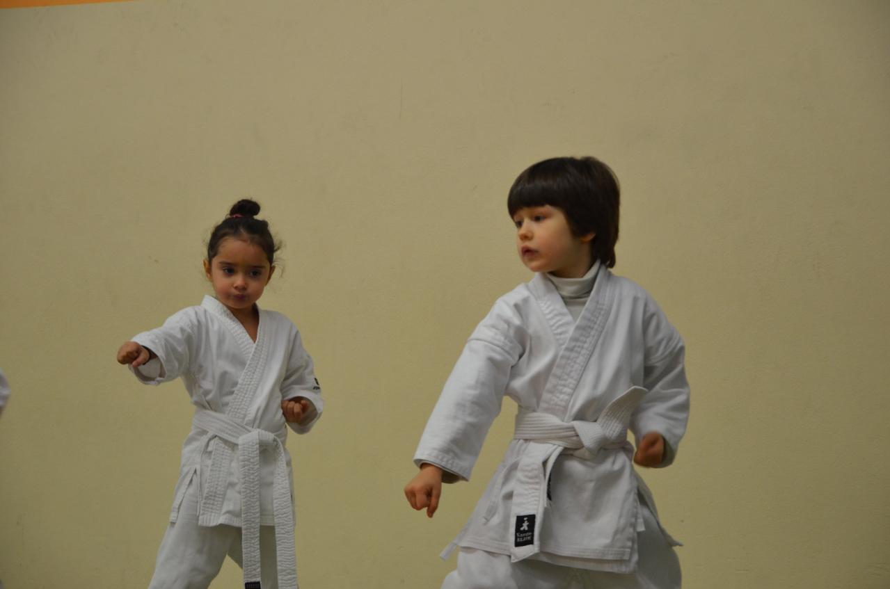 karate valence (3)