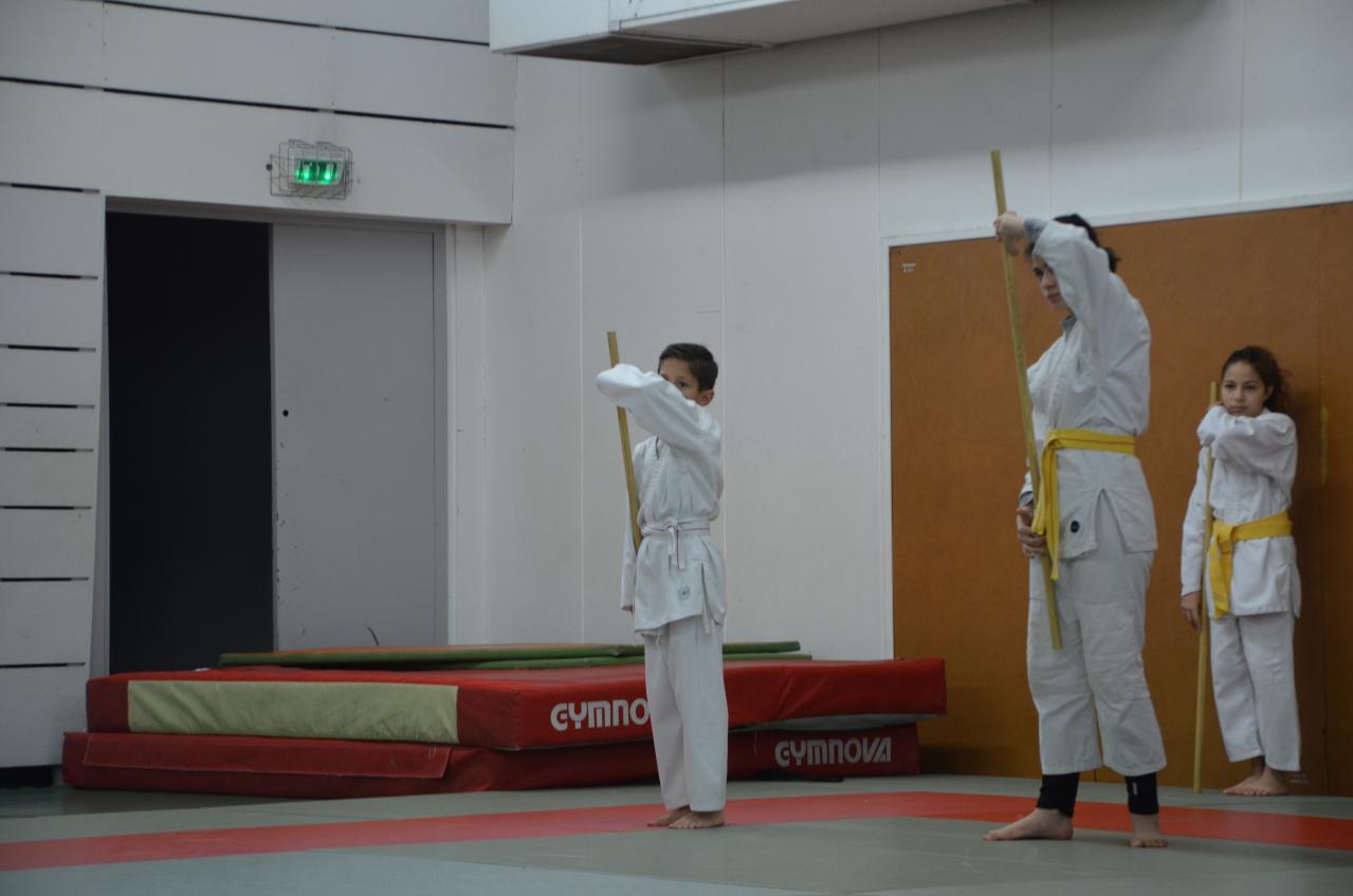 karate valence (33)