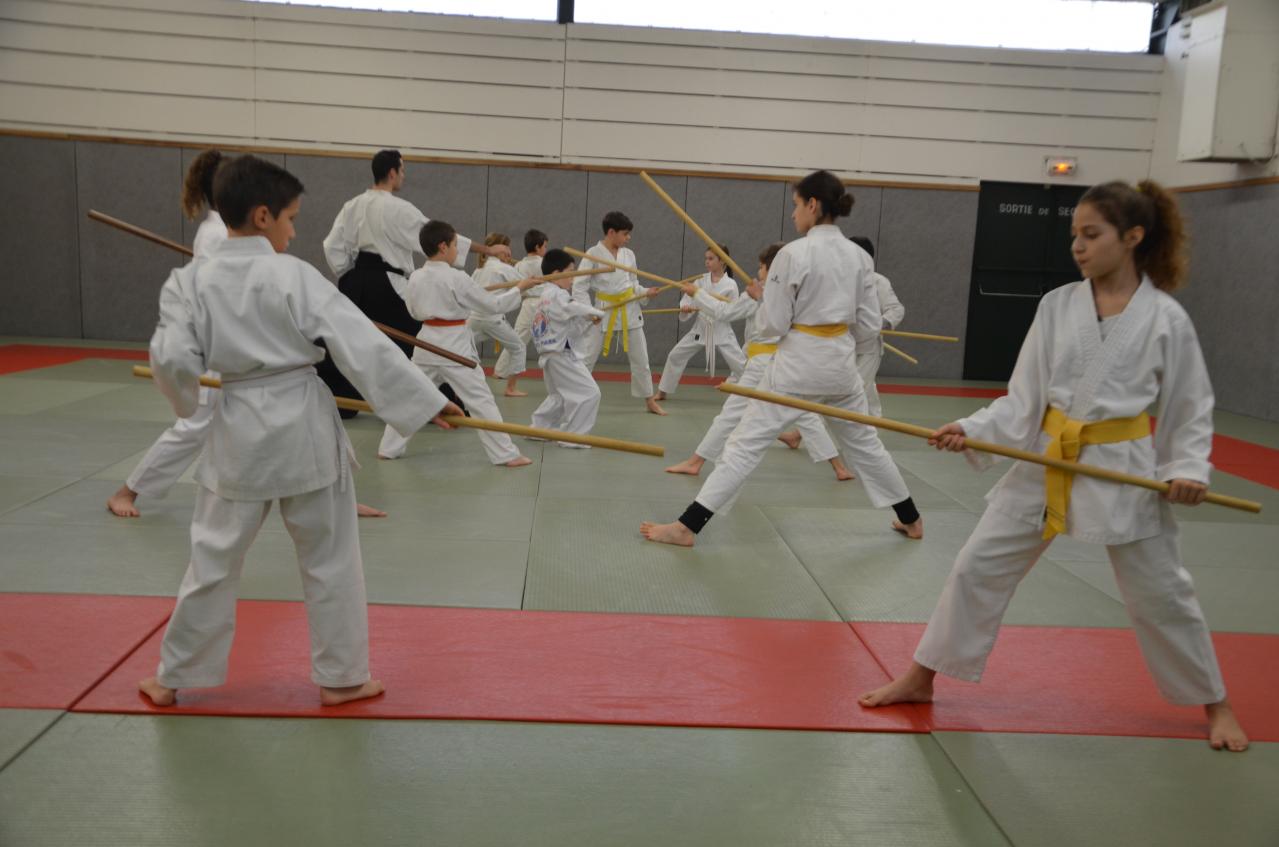 karate valence (34)