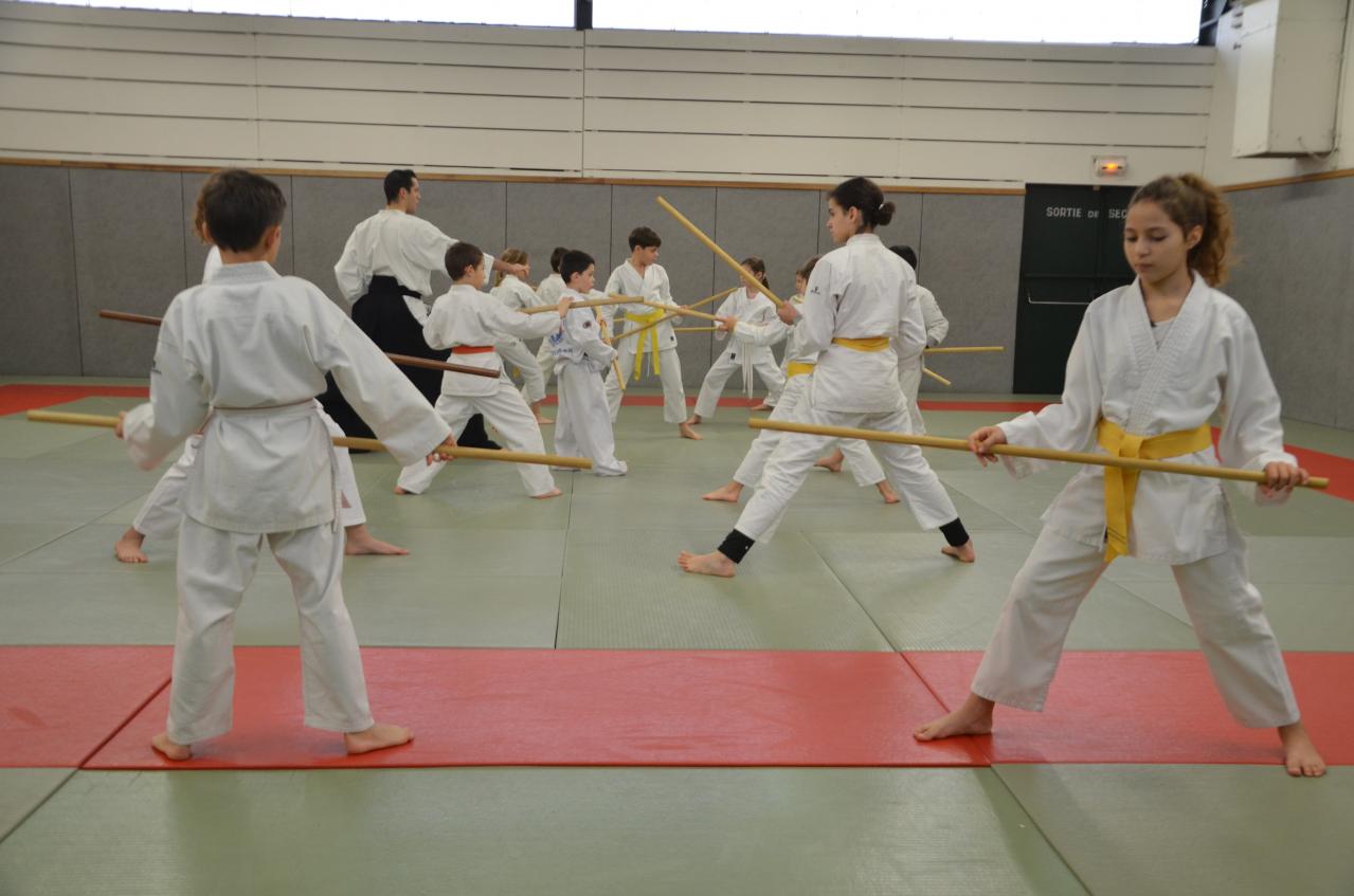 karate valence (35)