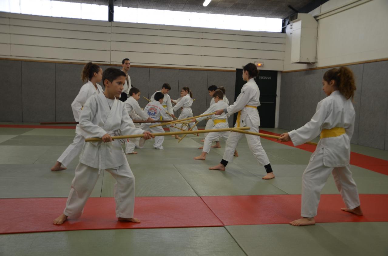 karate valence (36)