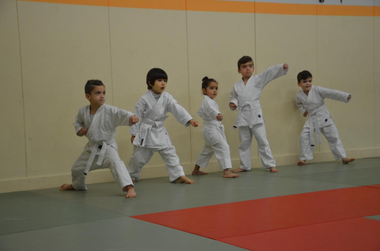 karate valence (37)