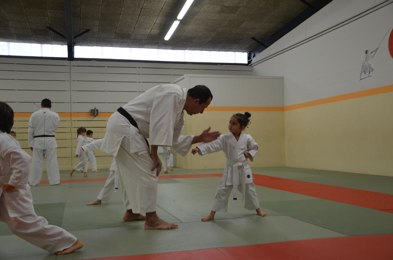 karate valence (4)