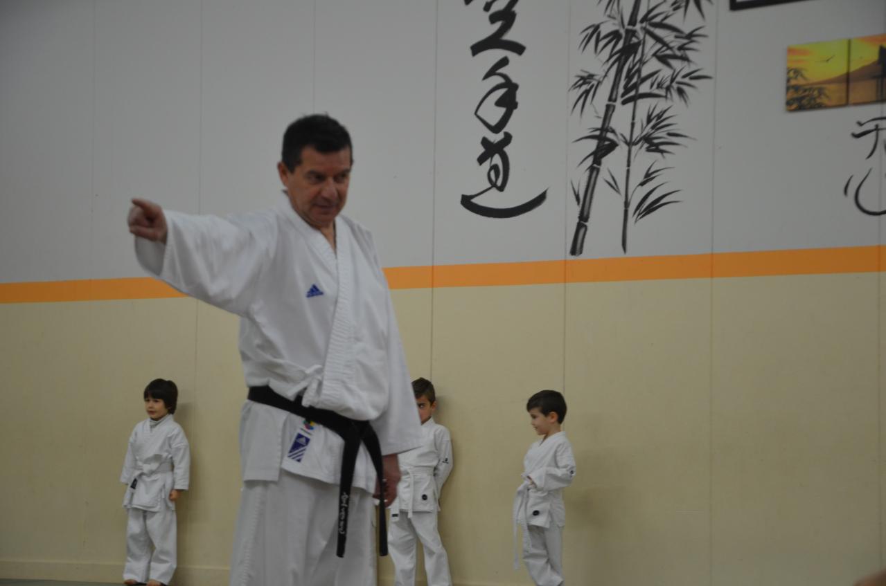 karate valence (6)