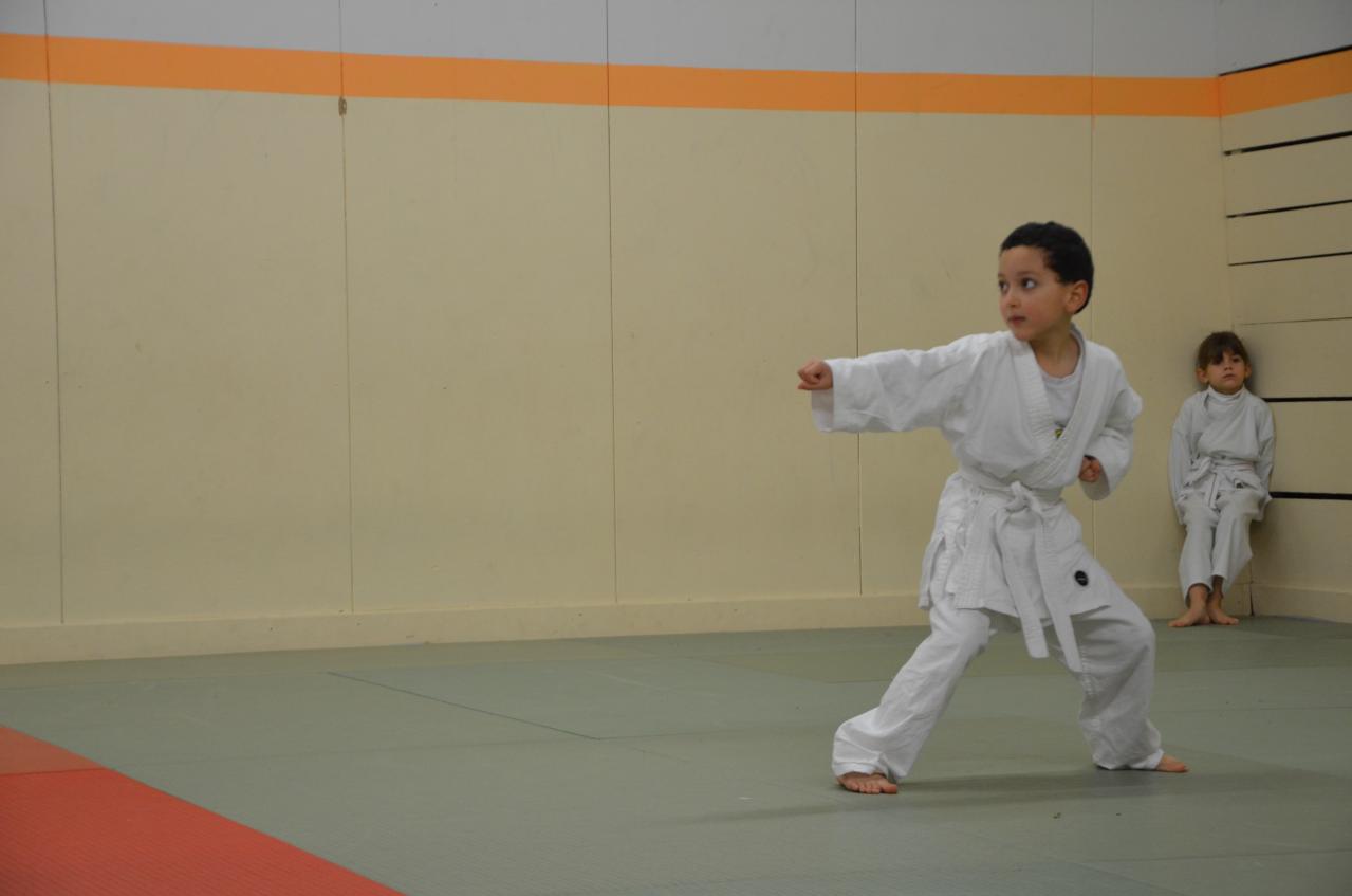 karate valence (9)